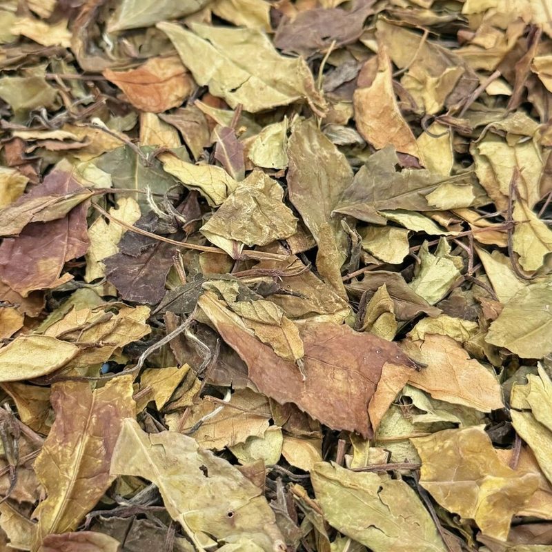 2016年福鼎老白茶 寿眉散茶 盒装250克 细节图1