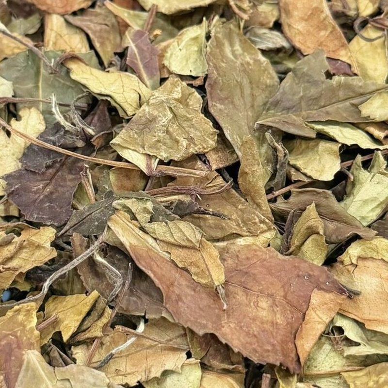 2016年福鼎老白茶 寿眉散茶 盒装250克 细节图2