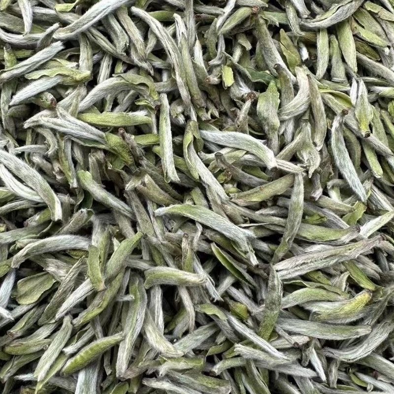 福鼎白毫银针 高山春茶 明前单芽散装 细节图1