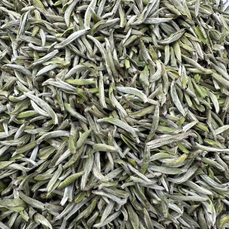 福鼎白毫银针 高山春茶 明前单芽散装