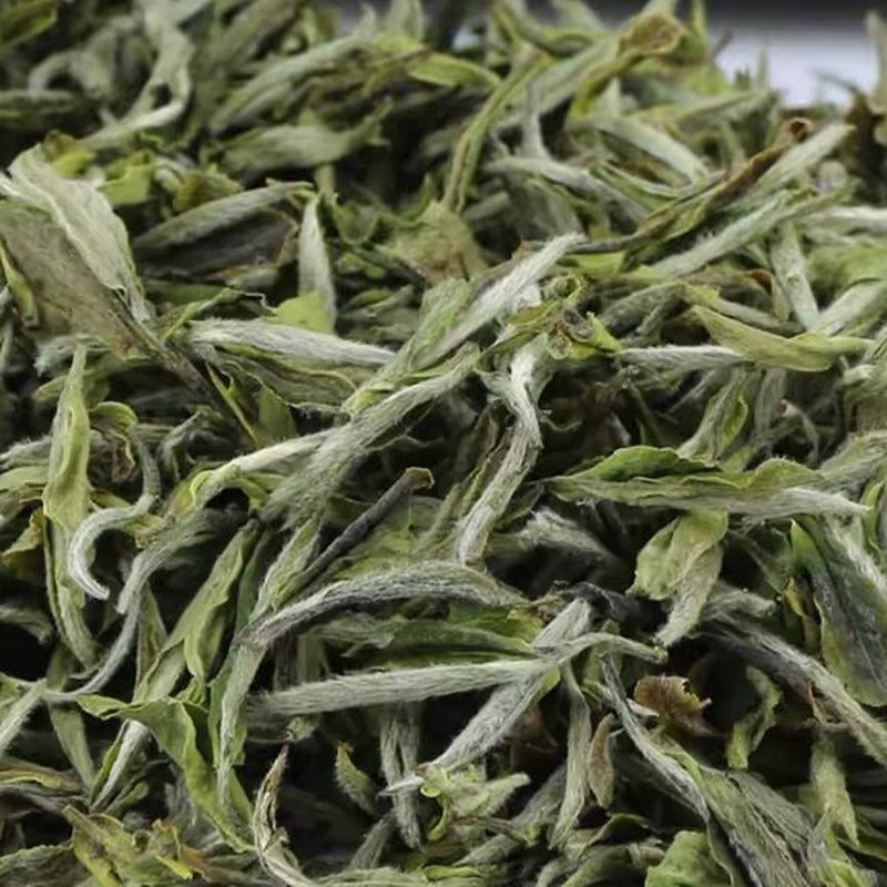 福鼎白牡丹 高山春茶 芽叶散装干茶 细节图1