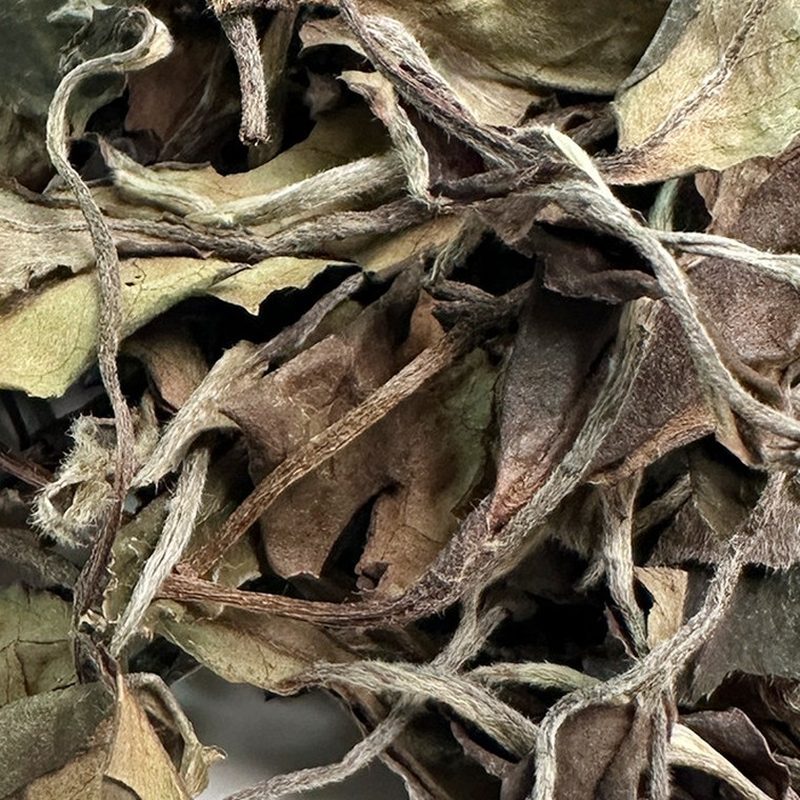 2019年福鼎寿眉 高山散茶 枣香老白茶 细节图2