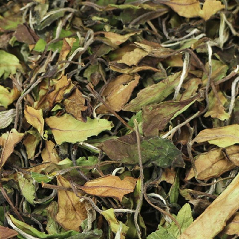 福鼎寿眉散茶 高山日晒 白露茶散装 细节图1