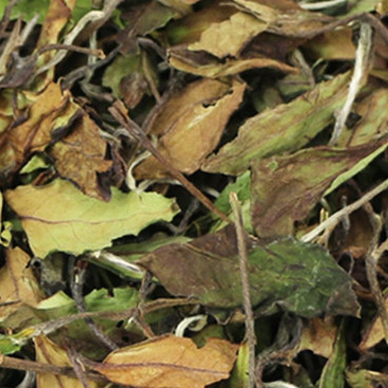 福鼎寿眉散茶 高山日晒 白露茶散装 细节图2