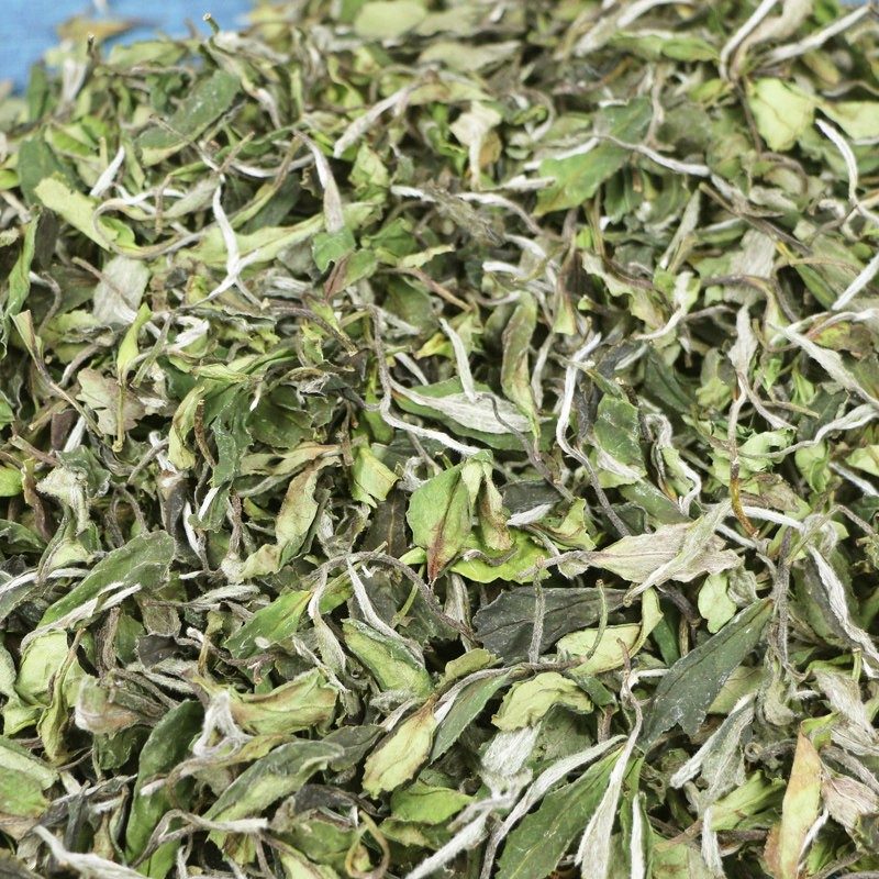 福鼎白牡丹散茶 高山春茶 整箱装干茶