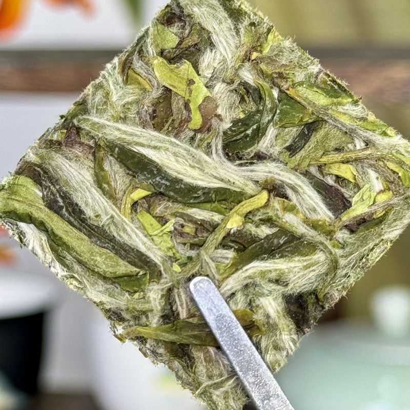 福鼎荒野白牡丹 头春采制 紧压小茶块 细节图1