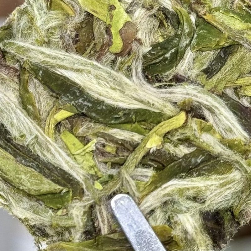 福鼎荒野白牡丹 头春采制 紧压小茶块 细节图2