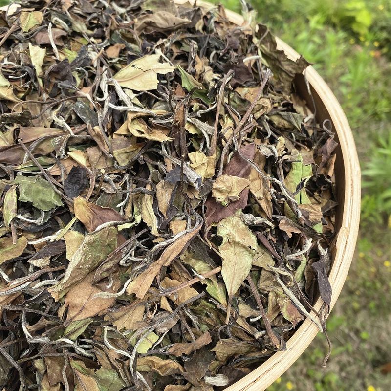 2017年福鼎寿眉贡眉 日晒散茶 陈香老白茶