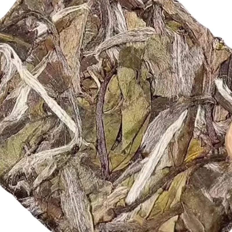 福鼎白牡丹 紧压小方片 花香茶饼干 细节图2