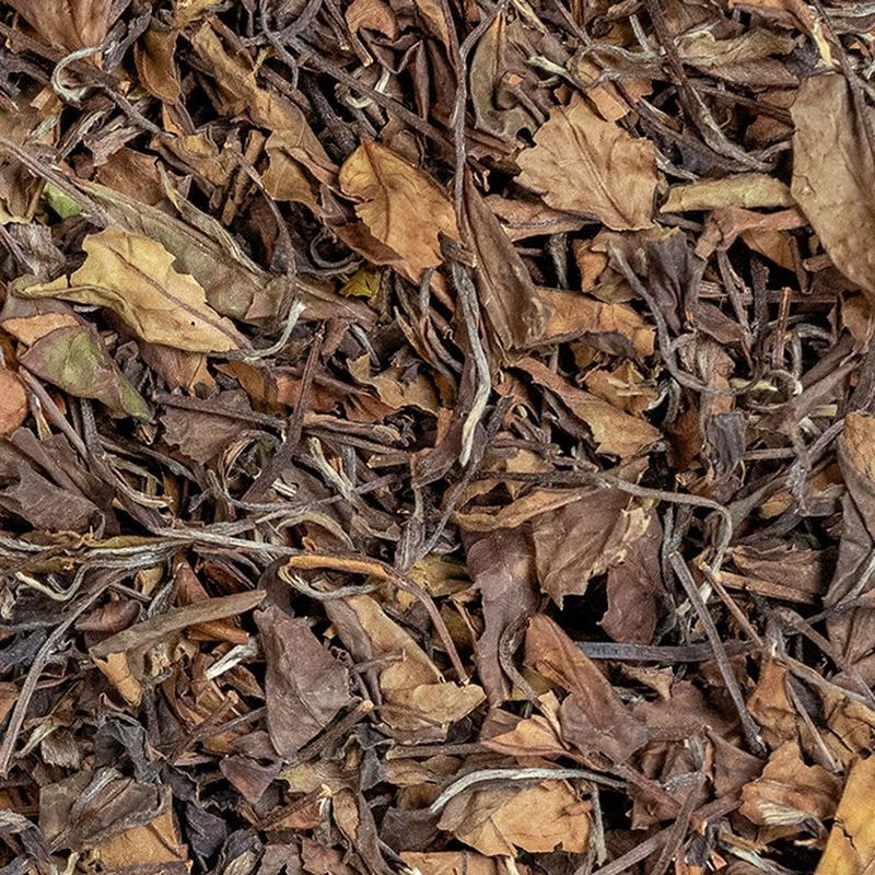 2018年福鼎老白茶 荒野贡眉散茶 高山干仓 细节图2