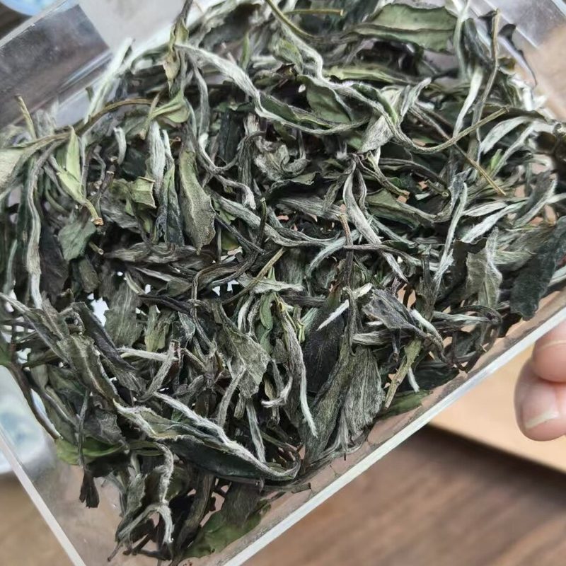 福鼎白牡丹散茶 高山干茶 透明袋装 细节图1