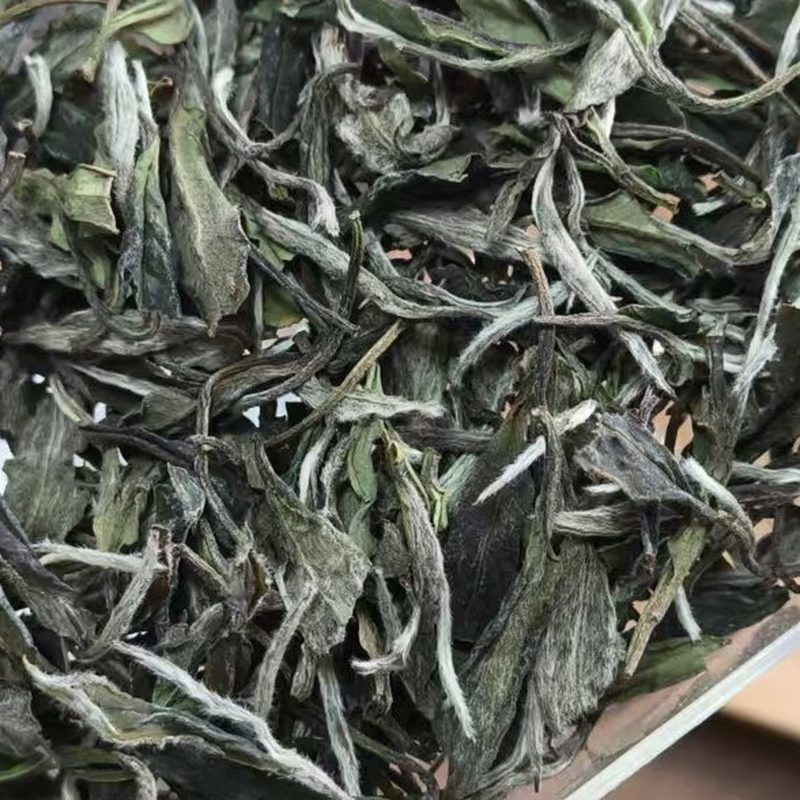 福鼎白牡丹散茶 高山干茶 透明袋装 细节图2