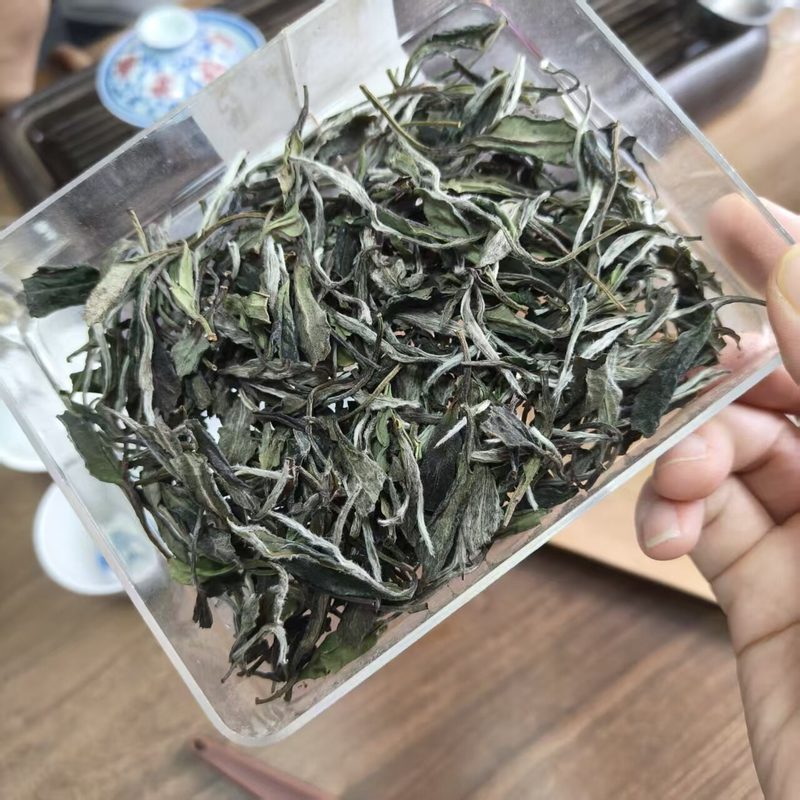 福鼎白牡丹散茶 高山干茶 透明袋装